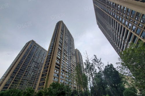 針織廠宿舍居住體驗與房產交易環(huán)境全解析